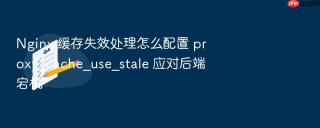 nginx 缓存失效处理怎么配置 proxy_cache_use_stale 应对后端宕机