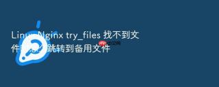 Linux Nginx try_files 找不到文件时怎么跳转到备用文件