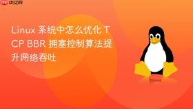 linux 系统中怎么优化 tcp bbr 拥塞控制算法提升网络吞吐