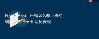 nginx brotli 压缩怎么验证移动端网络的 brotli 适配表现