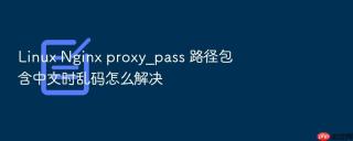 linux nginx proxy_pass 路径包含中文时乱码怎么解决
