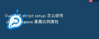 Vue 3 中 script setup 怎么使用 defineExpose 暴露实例属性