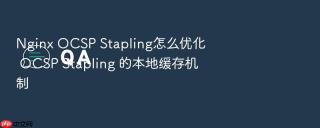 nginx ocsp stapling怎么优化 ocsp stapling 的本地缓存机制