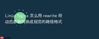linux nginx 怎么用 rewrite 将动态参数转换成规范的路径格式