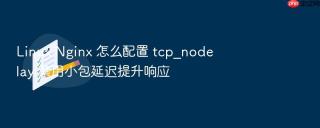 linux nginx 怎么配置 tcp_nodelay 禁用小包延迟提升响应