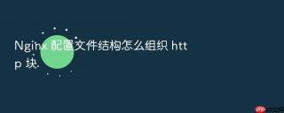 Nginx 配置文件结构怎么组织 http 块