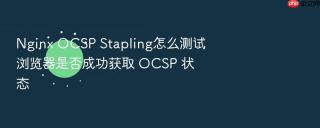 Nginx OCSP Stapling怎么测试浏览器是否成功获取 OCSP 状态