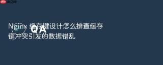 nginx 缓存键设计怎么排查缓存键冲突引发的数据错乱