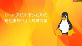 Linux 系统中怎么在系统启动服务中注入环境变量