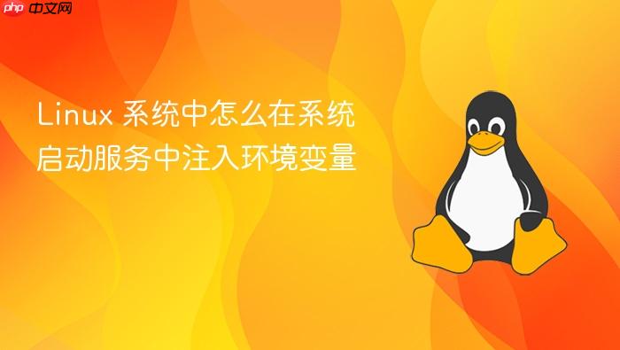 linux 系统中怎么在系统启动服务中注入环境变量