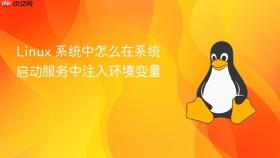 linux 系统中怎么在系统启动服务中注入环境变量