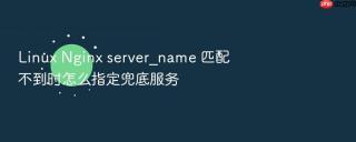 Linux Nginx server_name 匹配不到时怎么指定兜底服务