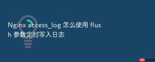 Nginx access_log 怎么使用 flush 参数定时写入日志