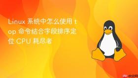 linux 系统中怎么使用 top 命令结合字段排序定位 cpu 耗尽者