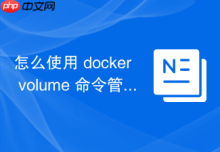 怎么使用 docker volume 命令管理数据卷