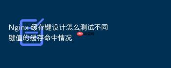 Nginx 缓存键设计怎么测试不同键值的缓存命中情况