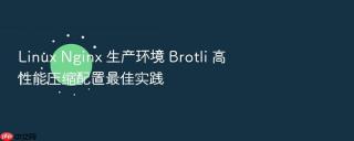 linux nginx 生产环境 brotli 高性能压缩配置最佳实践