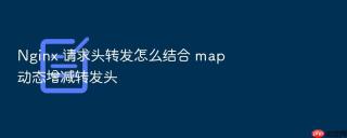 nginx 请求头转发怎么结合 map 动态增减转发头