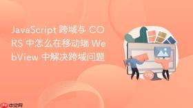 JavaScript 跨域与 CORS 中怎么在移动端 WebView 中解决跨域问题