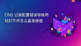dns 记录配置错误导致网站打不开怎么紧急排查