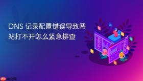 DNS 记录配置错误导致网站打不开怎么紧急排查