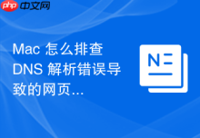 Mac 怎么排查 DNS 解析错误导致的网页打不开故障