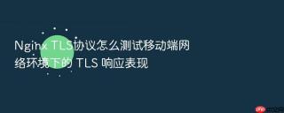 Nginx TLS协议怎么测试移动端网络环境下的 TLS 响应表现