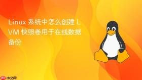linux 系统中怎么创建 lvm 快照卷用于在线数据备份