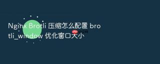 Nginx Brotli 压缩怎么配置 brotli_window 优化窗口大小