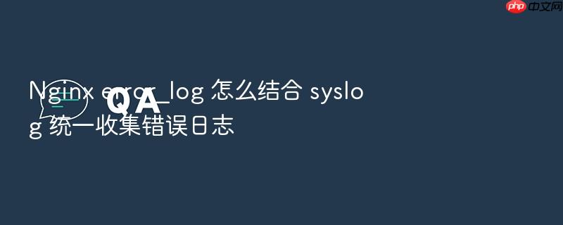 nginx error_log 怎么结合 syslog 统一收集错误日志