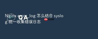 Nginx error_log 怎么结合 syslog 统一收集错误日志