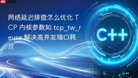 网络延迟排查怎么优化 tcp 内核参数如 tcp_tw_reuse 解决高并发端口耗尽