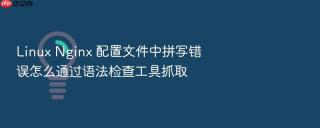 Linux Nginx 配置文件中拼写错误怎么通过语法检查工具抓取