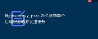 Nginx proxy_pass 怎么限制单个后端服务的并发连接数