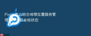 Pinia 怎么结合地理位置服务管理用户当前坐标状态