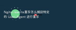 nginx rewrite重写怎么捕获特定的 user-agent 进行重写
