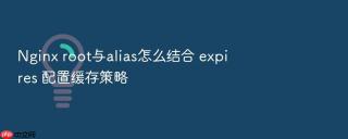 Nginx root与alias怎么结合 expires 配置缓存策略