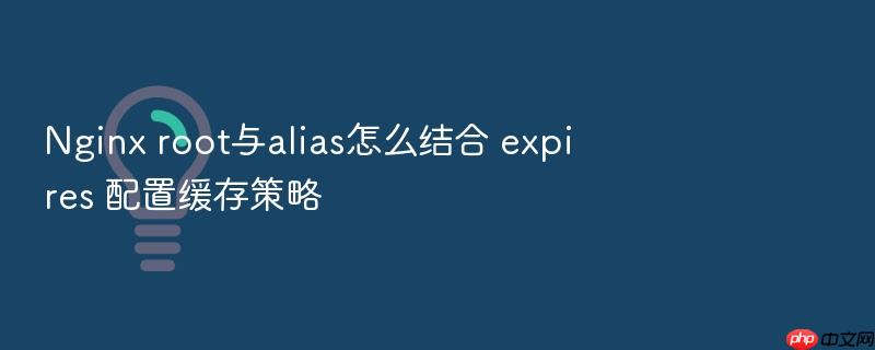 nginx root与alias怎么结合 expires 配置缓存策略