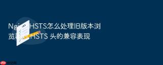 nginx hsts怎么处理旧版本浏览器对 hsts 头的兼容表现