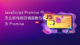 javascript promise 中怎么将传统回调函数包装为 promise
