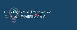 Linux Nginx 怎么使用 htpasswd 工具生成加密的密码认证文件