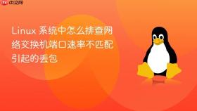 linux 系统中怎么排查网络交换机端口速率不匹配引起的丢包