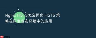 nginx hsts怎么优化 hsts 策略在灰度发布环境中的应用