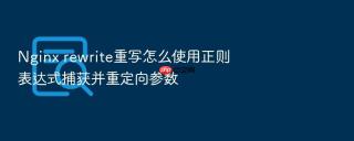nginx rewrite重写怎么使用正则表达式捕获并重定向参数