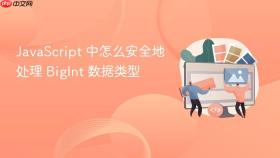 JavaScript 中怎么安全地处理 BigInt 数据类型