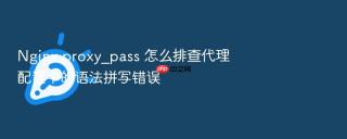 Nginx proxy_pass 怎么排查代理配置中的语法拼写错误