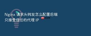 Nginx 请求头转发怎么配置后端只接受信任的代理 IP