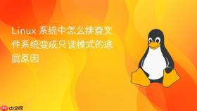 Linux 系统中怎么排查文件系统变成只读模式的底层原因