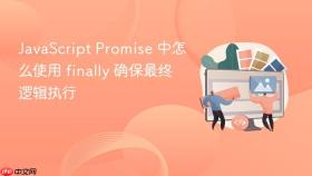 javascript promise 中怎么使用 finally 确保最终逻辑执行