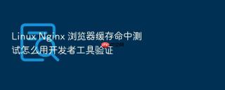 Linux Nginx 浏览器缓存命中测试怎么用开发者工具验证